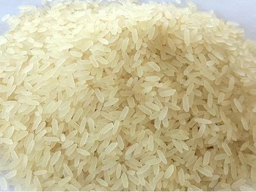 Common IR 36 Basmati Rice, Variety : Medium Grain, Short Grain