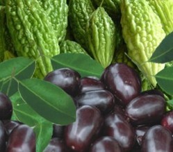 Karela Jamun Juice