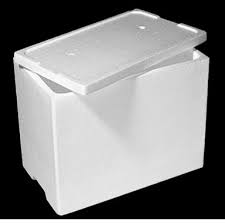 Thermocol Ice Box