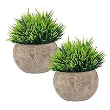 Small Artificial Plants