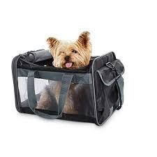 LDPE PET Carrier, For Hospital, Medical, Restaurant, Shopping Malls, Feature : Easy To Carry, Eco-Friendly