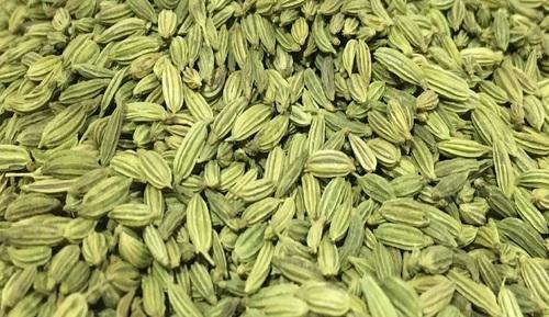 Green Fennel Seeds, Packaging Type : Vaccum Packed, Packaging Size : 100Gm, 250Gm, 50Gm