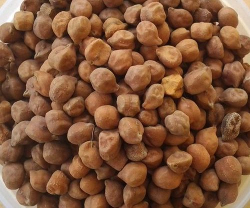 Organic Raw Desi Chickpeas, Packaging Type : Plastic Packets