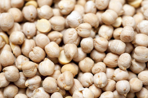 Organic Processed White Chickpeas, Packaging Type : Jute Bags, Plastic Packets