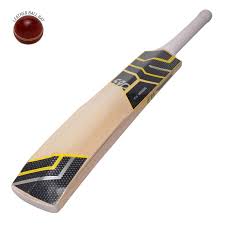 Plain 500gm Plastic cricket bat, Feature : Fine Finish, Light Weight, Premium Quality, Termite Resistance