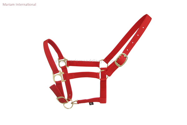 Nylon Horse Halters, for Lead An Animal, Feature : Good Quality at Best  Price in Kanpur