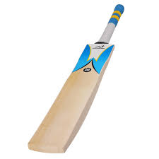 Plain Plastic cricket bat, Feature : Fine Finish, Light Weight, Premium Quality, Termite Resistance