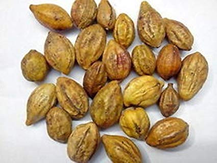 Terminalia Chebula, for Curing Blindness, Medicinal Purposes, Purity : 100%