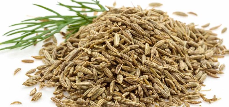 Cumin seeds, Feature : Improves Digestion