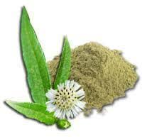 Common Bhringraj Extract, for Anti-allergic, Conditioning, Hair Care, Medicinal Use, Strengthening