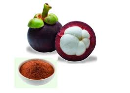 Common Mangosteen Extract, Style : Dried