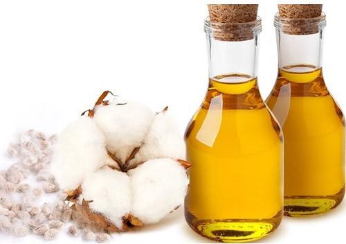 Organic Cotton Seed Oil, for High In Protein, Form : Liquid
