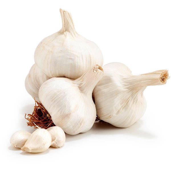 GMO Garlic, for Cooking, Human Consumption, Oil Extraction, Packaging Type : Giuuny Bags, Paper Box