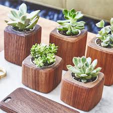 Non Polished Wooden Pots, for Decorating Flower, Outdoor Decoration, Plantation, Size : 12x8Inch, 14x12Inch