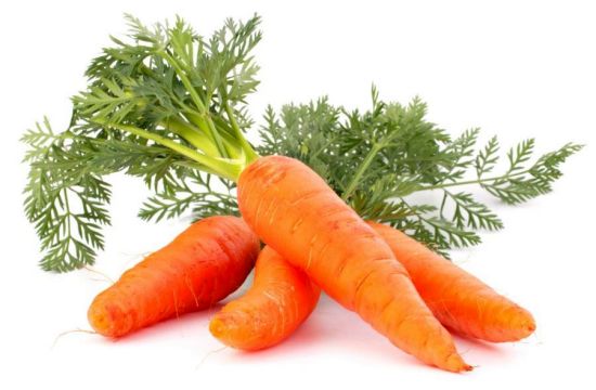 Fresh Carrot, for Food, Juice, Pickle, Snacks, Taste : Sweet