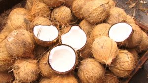 fresh coconut