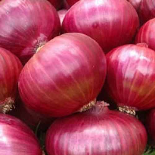 Organic fresh red onion, for Cooking, Size : Large, Medium, Small