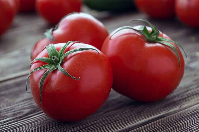 Organic Fresh Tomato, for Cooking, Skin Products, Color : Red