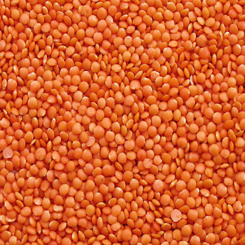 Masoor dal, for Cooking, Packaging Type : Plastic Packets