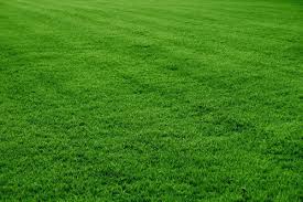HDPE Lawn Grass, for Garden, Home, Play Ground, Restaurant, Wedding Ground, Size : Multisize