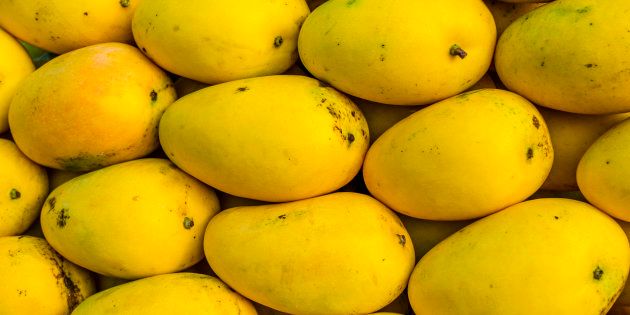 Fresh Mango,fresh mango, Variety : Alphonso, Kesar