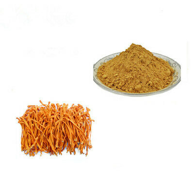 Organic Pure Cordyceps Extract, Packaging Size : 10-20kg