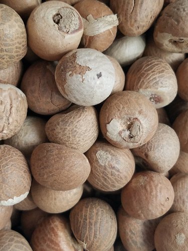 Organic Natural Betel Nuts, Feature : Safe Packaging
