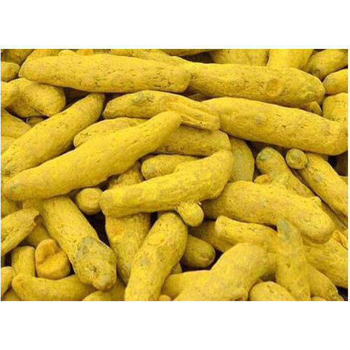 Natural Turmeric Finger For Ayurvedic Products Cooking Cosmetic