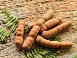 Natural Fresh Tamarind, Form : Pods