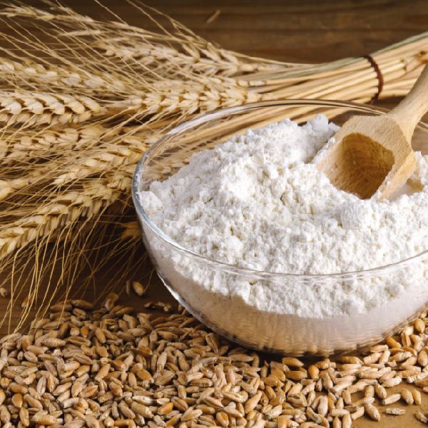 Common wheat flour, for Cooking, Packaging Type : Gunny Bag, Jute Bag, Plastic Bag