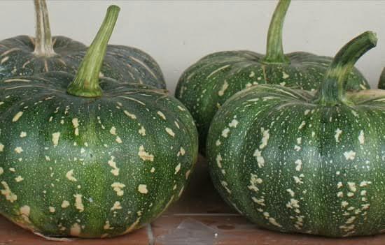 Fresh Sweet Pumpkin