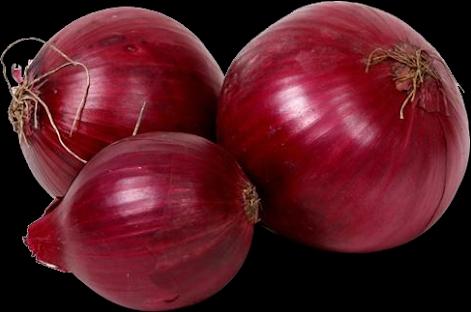 Onion, Packaging Type : Net Bags