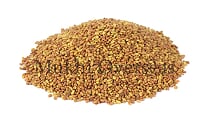 Alfalfa Grass Seeds