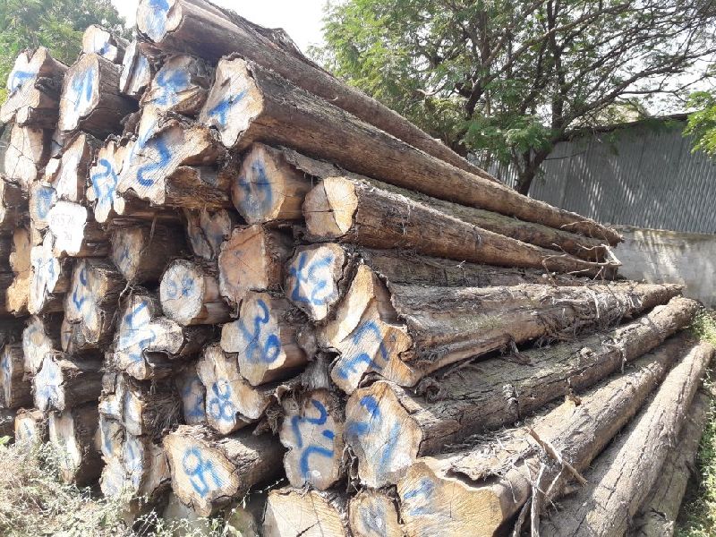 African Teak Wood Logs