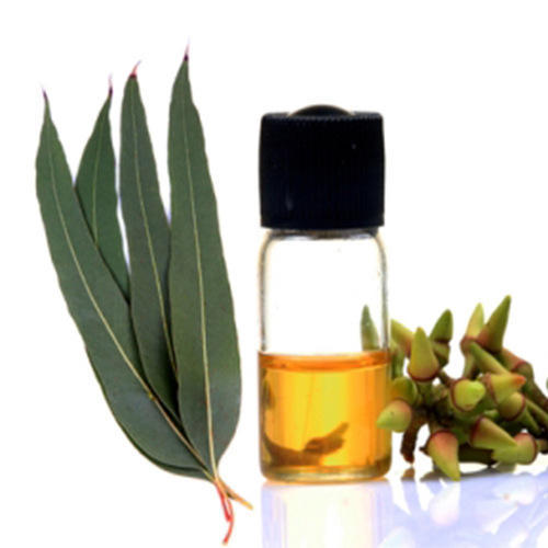 Eucalyptus Oil, for Tropical / Diffusion / pharma, Color : Pale Yellow