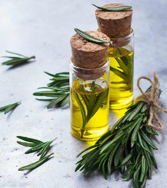 Rosemary Oil, Form : Liquid