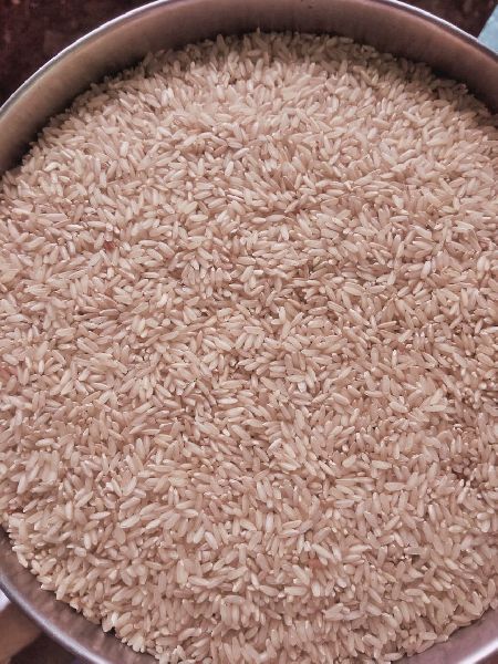 Organic Hard Medium Bold Brown Rice, for Human Consumption., Packaging Type : 10kg, 20kg