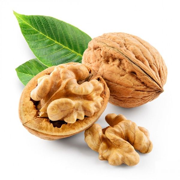 Shelled Walnuts