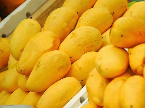 Fresh Dasheri Mango