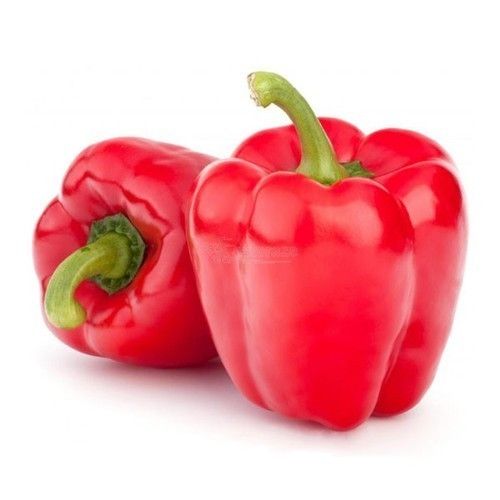 Fresh Red Capsicum, Packaging Type : Jute Bag, Plastic Bag