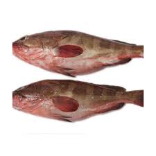 100g Pomfret, Packaging Type : Plastic Bag, Poly Bag, Pouch