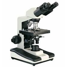 Binocular Microscopes