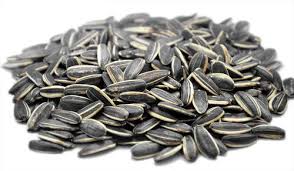 Common sunflower seed, for Agriculture, Cooking, Food, Medicinal, Packaging Size : 100gm, 10kg, 1kg