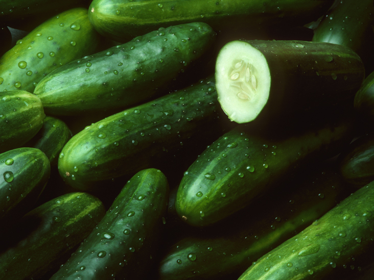 Fresh Cucumber,fresh cucumber