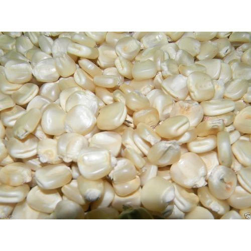 White Maize, Style : Dried