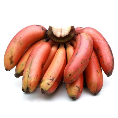 Organic Red Banana