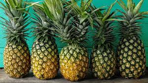 Fresh Pineapple, for Juice, Packaging Type : Carton Box