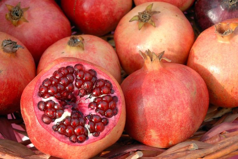 Organic fresh pomegranate, for Making Juice, Making Syrups., Packaging Type : Wooden Box