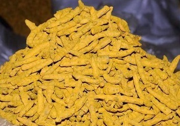 Duggirala Turmeric Finger