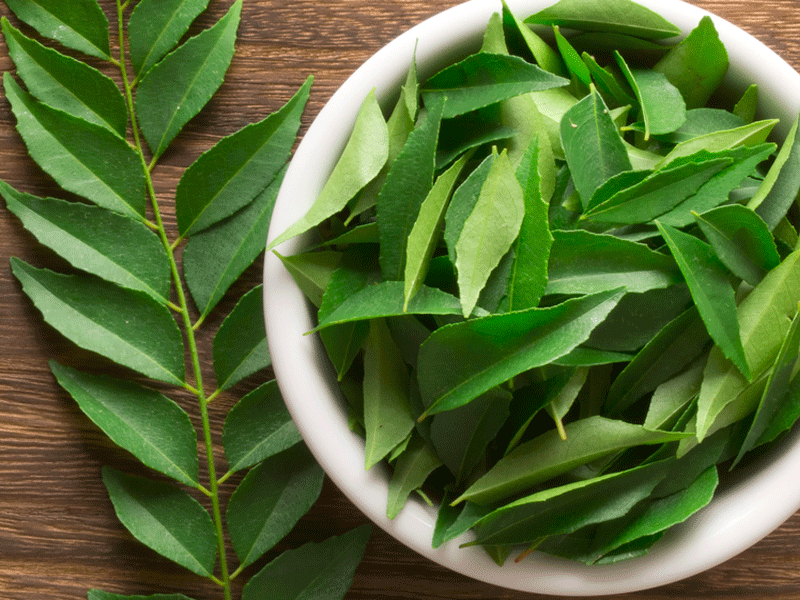 Common Fresh Curry Leaves, for Cooking, Medicine